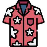hawaiian shirt